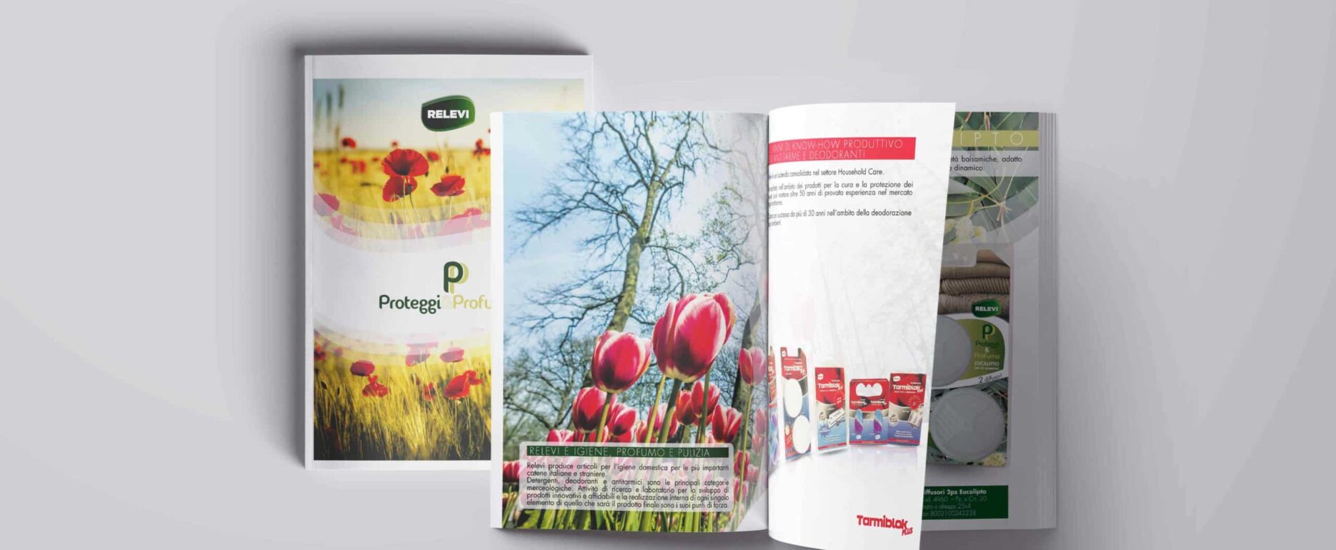 Relevi-Comunicare-Green-brochure-1
